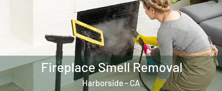Fireplace Smell Removal Harborside - CA