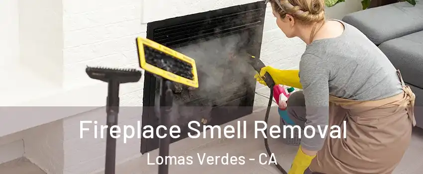 Fireplace Smell Removal Lomas Verdes - CA