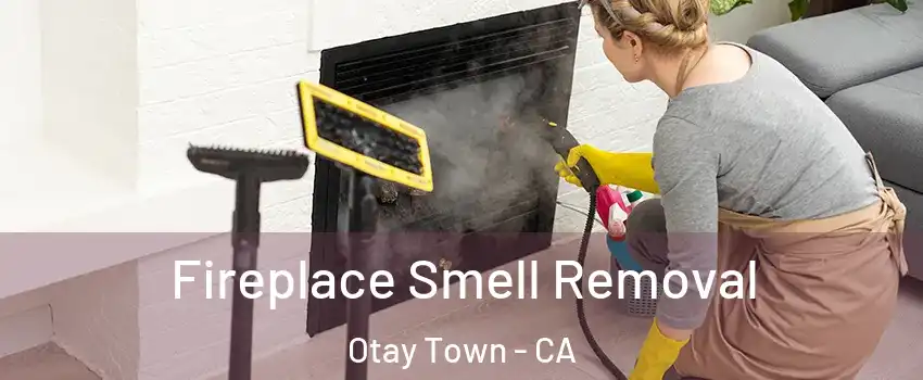 Fireplace Smell Removal Otay Town - CA