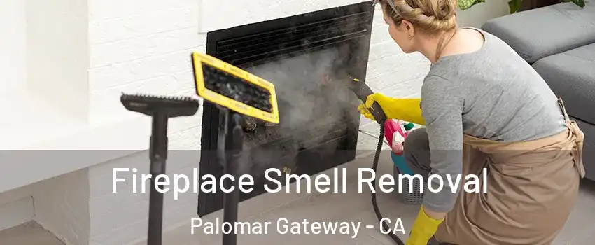 Fireplace Smell Removal Palomar Gateway - CA