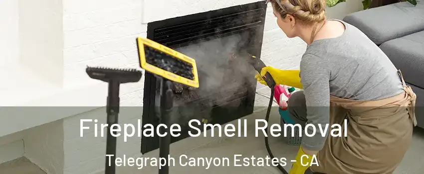 Fireplace Smell Removal Telegraph Canyon Estates - CA