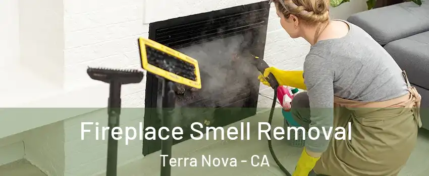 Fireplace Smell Removal Terra Nova - CA