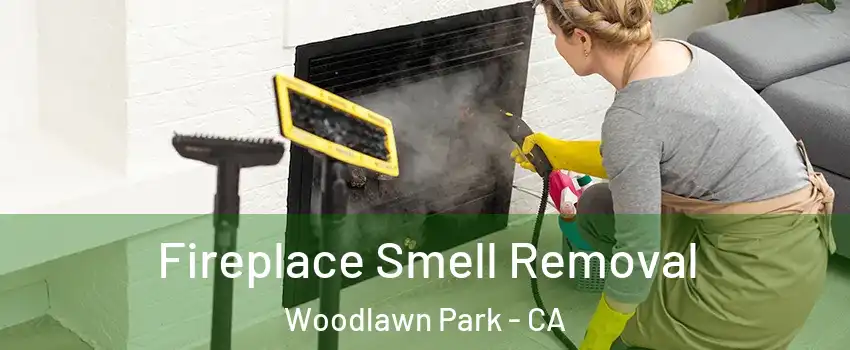 Fireplace Smell Removal Woodlawn Park - CA