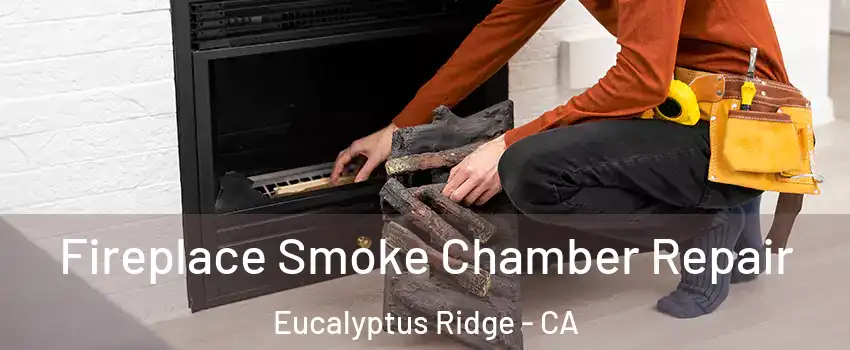 Fireplace Smoke Chamber Repair Eucalyptus Ridge - CA