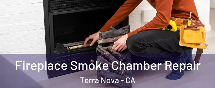 Fireplace Smoke Chamber Repair Terra Nova - CA