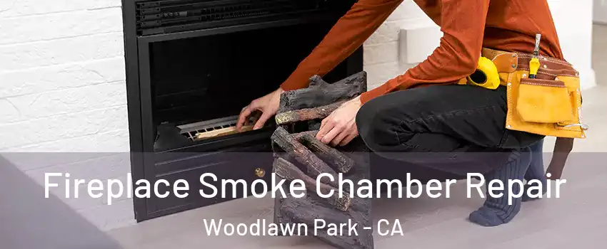Fireplace Smoke Chamber Repair Woodlawn Park - CA