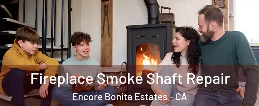 Fireplace Smoke Shaft Repair Encore Bonita Estates - CA