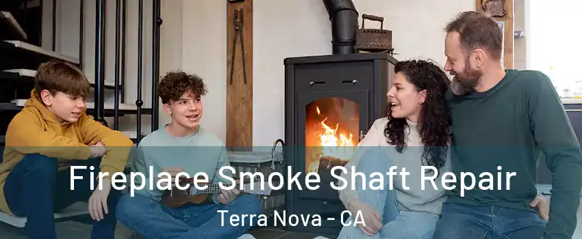 Fireplace Smoke Shaft Repair Terra Nova - CA