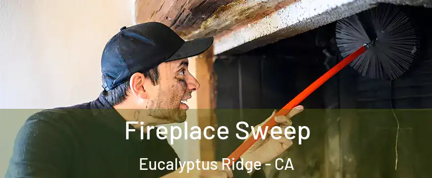 Fireplace Sweep Eucalyptus Ridge - CA
