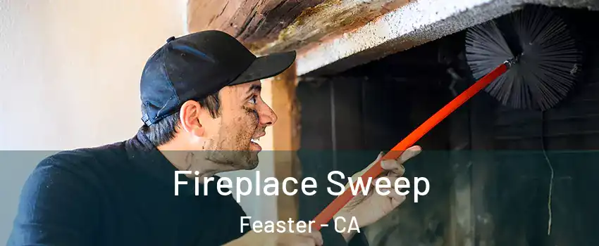 Fireplace Sweep Feaster - CA