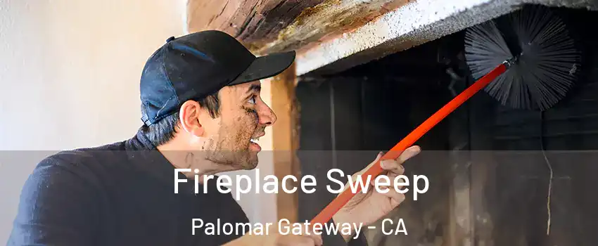 Fireplace Sweep Palomar Gateway - CA