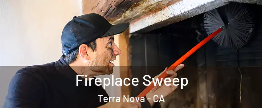 Fireplace Sweep Terra Nova - CA