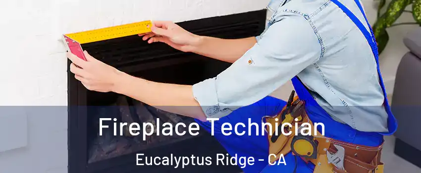Fireplace Technician Eucalyptus Ridge - CA