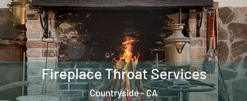 Fireplace Throat Services Countryside - CA