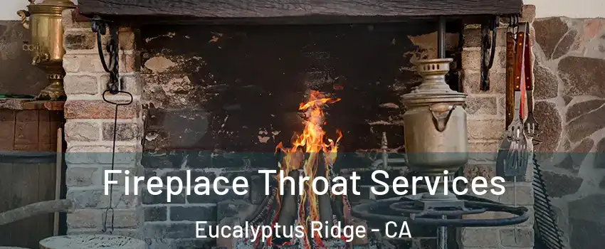Fireplace Throat Services Eucalyptus Ridge - CA