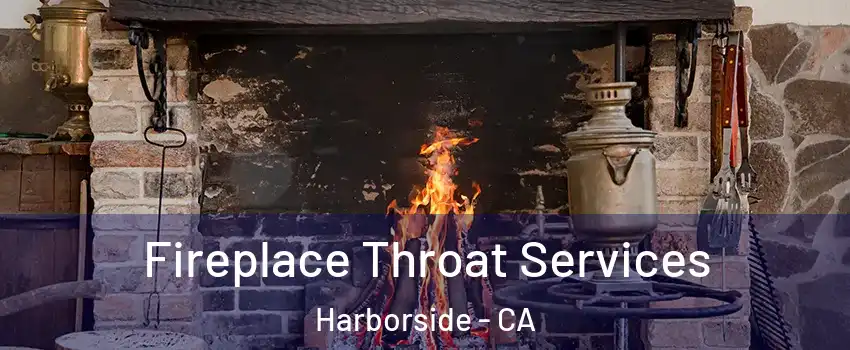 Fireplace Throat Services Harborside - CA