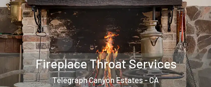 Fireplace Throat Services Telegraph Canyon Estates - CA