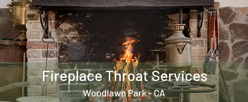 Fireplace Throat Services Woodlawn Park - CA