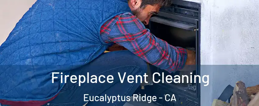 Fireplace Vent Cleaning Eucalyptus Ridge - CA