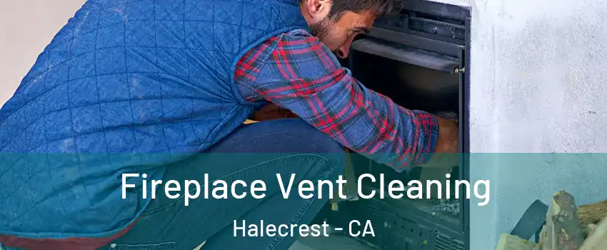 Fireplace Vent Cleaning Halecrest - CA