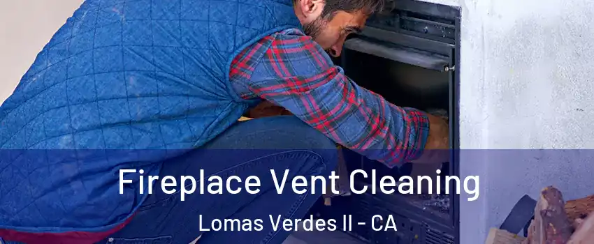 Fireplace Vent Cleaning Lomas Verdes II - CA