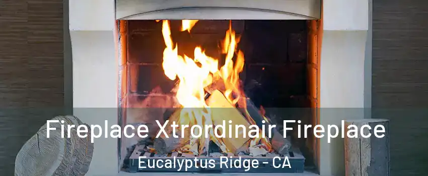 Fireplace Xtrordinair Fireplace Eucalyptus Ridge - CA