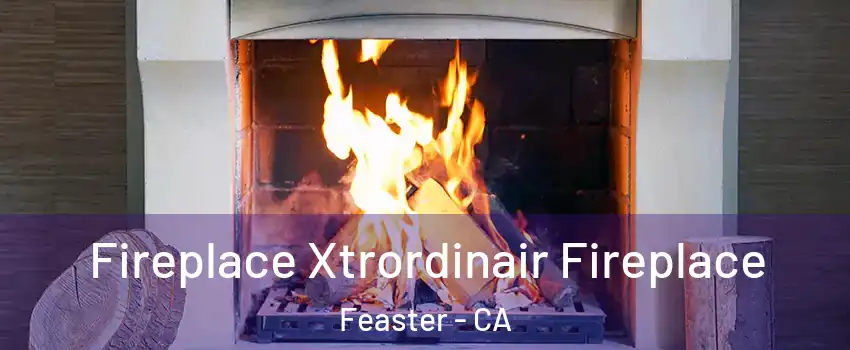 Fireplace Xtrordinair Fireplace Feaster - CA