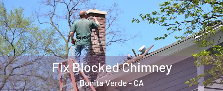 Fix Blocked Chimney Bonita Verde - CA