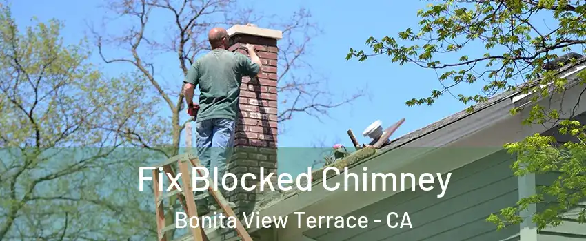 Fix Blocked Chimney Bonita View Terrace - CA