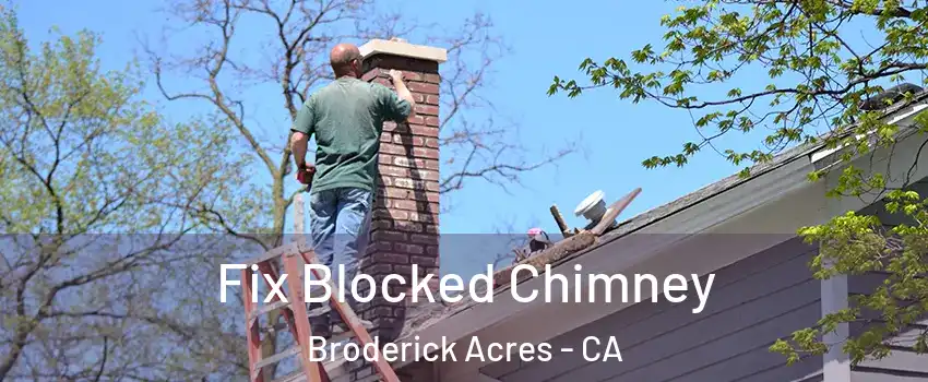 Fix Blocked Chimney Broderick Acres - CA