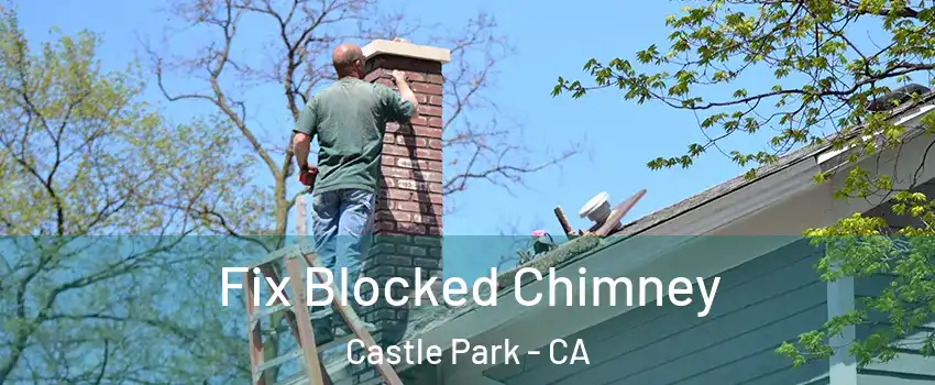 Fix Blocked Chimney Castle Park - CA