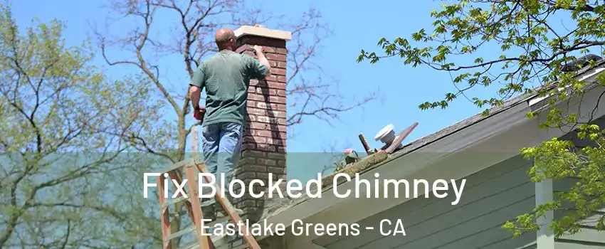 Fix Blocked Chimney Eastlake Greens - CA