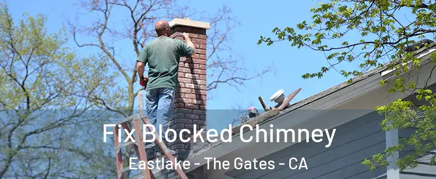 Fix Blocked Chimney Eastlake - The Gates - CA