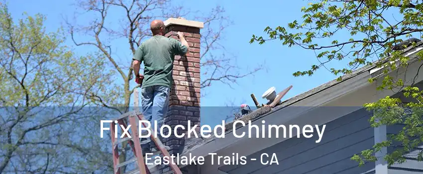 Fix Blocked Chimney Eastlake Trails - CA