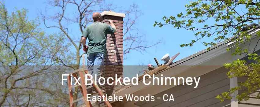Fix Blocked Chimney Eastlake Woods - CA