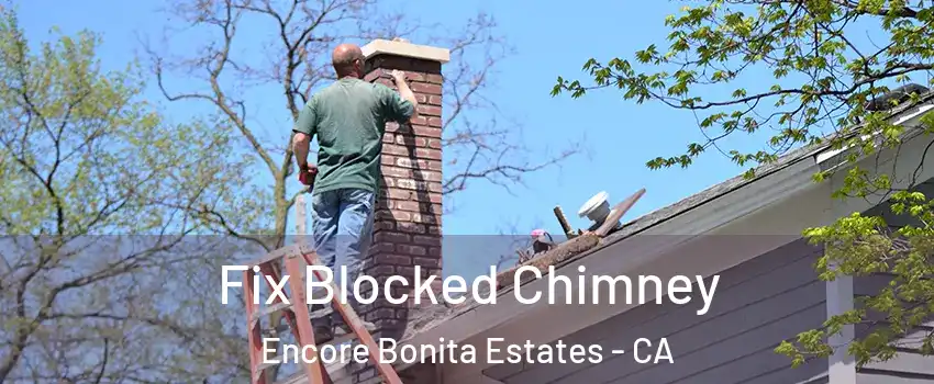 Fix Blocked Chimney Encore Bonita Estates - CA