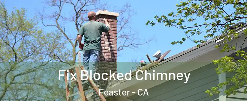 Fix Blocked Chimney Feaster - CA