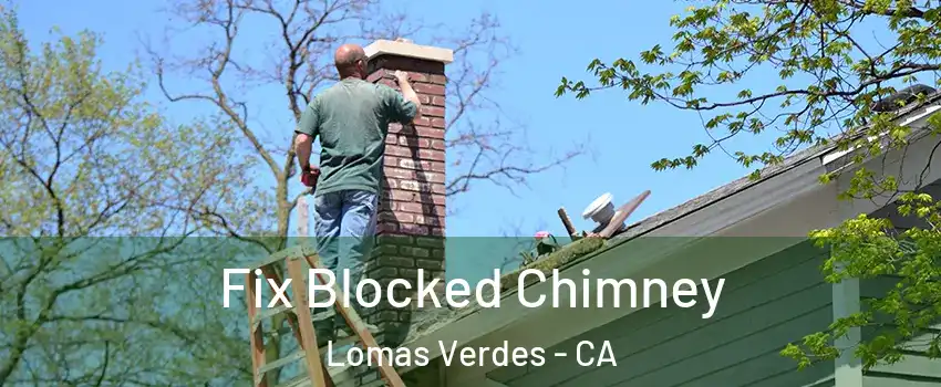 Fix Blocked Chimney Lomas Verdes - CA