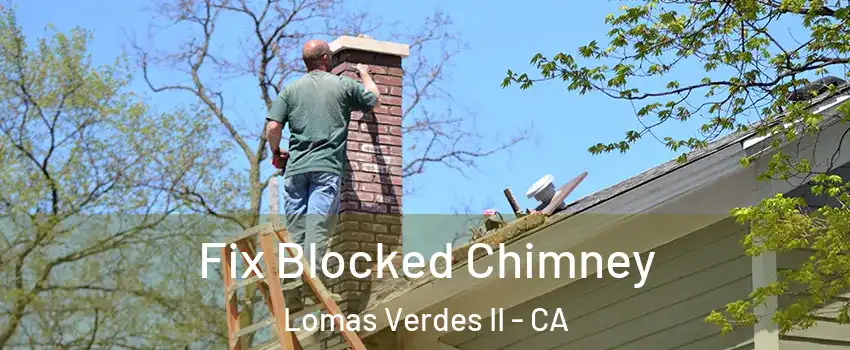 Fix Blocked Chimney Lomas Verdes II - CA