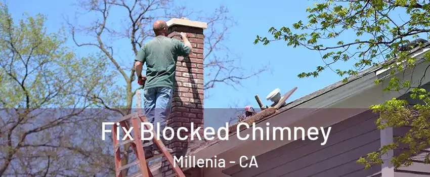 Fix Blocked Chimney Millenia - CA