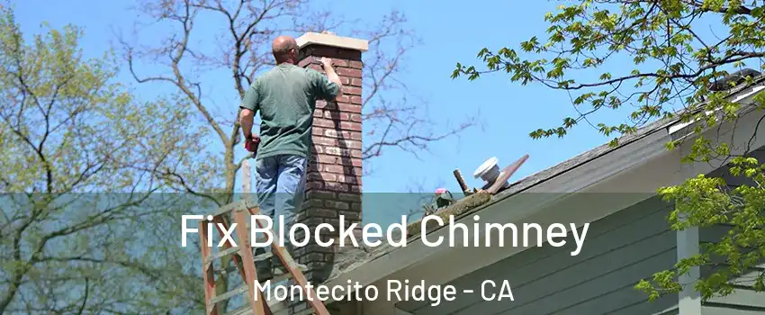 Fix Blocked Chimney Montecito Ridge - CA