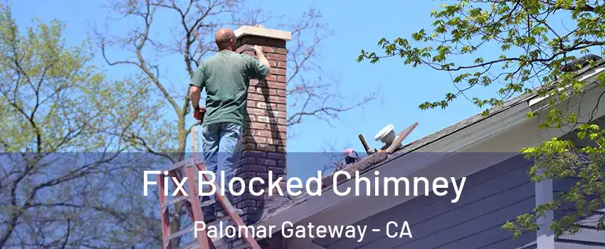 Fix Blocked Chimney Palomar Gateway - CA