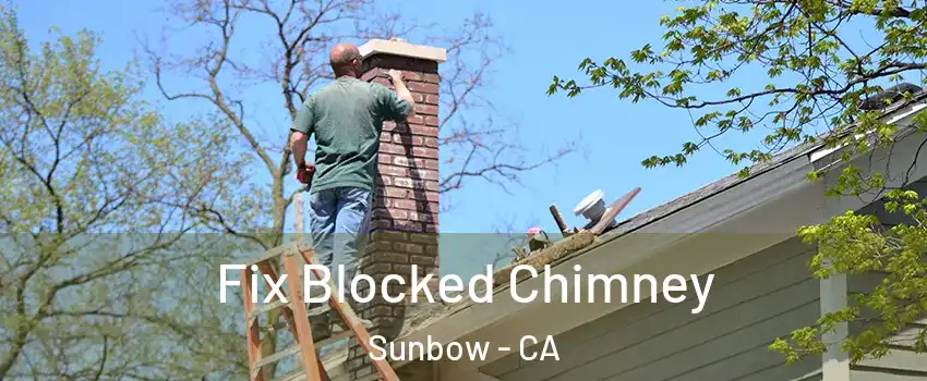 Fix Blocked Chimney Sunbow - CA