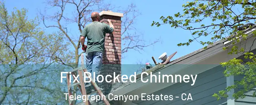Fix Blocked Chimney Telegraph Canyon Estates - CA