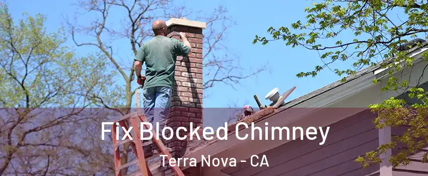 Fix Blocked Chimney Terra Nova - CA