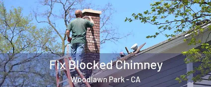 Fix Blocked Chimney Woodlawn Park - CA