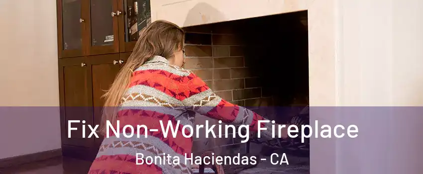 Fix Non-Working Fireplace Bonita Haciendas - CA