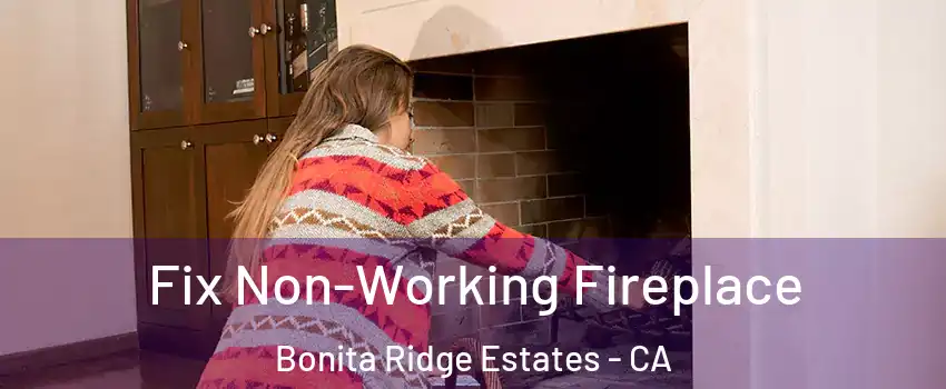 Fix Non-Working Fireplace Bonita Ridge Estates - CA