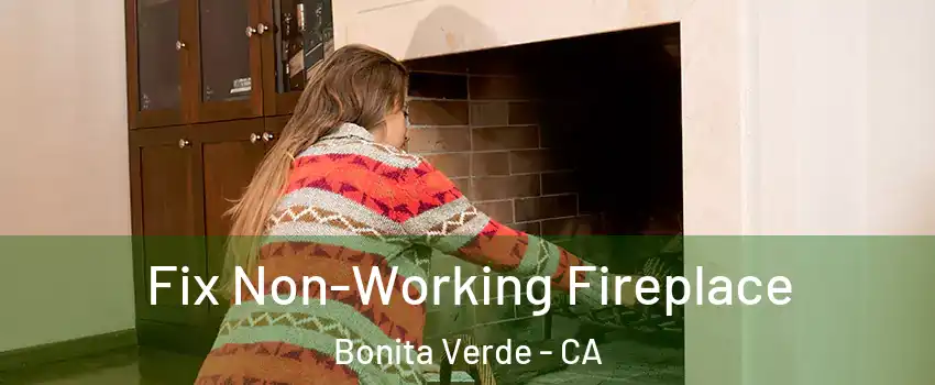 Fix Non-Working Fireplace Bonita Verde - CA