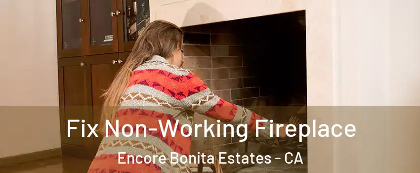 Fix Non-Working Fireplace Encore Bonita Estates - CA